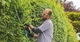 Кусторез Bosch UniversalHedgeCut 60 (06008C0703) - изображение 3