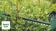 Аккумуляторный бесщеточный кусторез Bosch UniversalHedgeCut 18V-50 + 1 аккумулятор PBA 18 В 2.5 Ач + зарядное устройство AL 1830 CV (0600849K01) - изображение 10