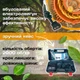 Пила аккумуляторная цепная с шиной 6 дюймов и 2 аккумуляторами 48V в кейсе Mini Electric Chain Saw, мини-пила беспроводная для обрезки деревьев, кустов, веток, садовая электропила для сада и дачи Черная, 48V-RY - изображение 2