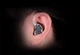 KZ PRX (No Mic) – Планарні навушники 13.2 мм із Hi-Fi звучанням четвертого покоління - изображение 7