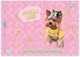 Набор альбомов для рисования YES Dogs на скобе с перфорацией А4 100 г/м² 20 листов х 4 шт (130603) (4823092289384) - изображение 4