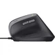 Мышка Trust Bayo II Ergonomic USB Black (25144) (246272) - изображение 5