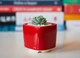 Керамический горшок для кактусов Mini Plant размер XS 5,2х5,1см Квадратный Красный - изображение 1