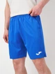 Спортивные шорты мужские Joma Master 100186.726 XL Синие (8424309437503) - изображение 4