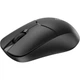 Мышь Rapoo 1510 Wireless Black [128619] - изображение 2