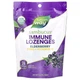 Экстракт черной бузины, цинк и витамин C Nature's Way Sambucus Immune Lozenges, 24 леденца для поддержки иммунной системы - изображение 1