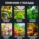 Тестер 6 в 1 грунте ST03 измеритель для садоводства Портативный Универсальный - изображение 3