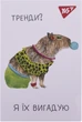 Набор блокнотов YES Capybara А7 В клетку 48 листов х 40 шт (4823092291004) - изображение 8