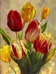 Картина по номерам 40×50 см Kontur. Разноцветные тюльпаны DS0433 - изображение 1