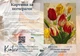 Картина по номерам 40×50 см Kontur. Разноцветные тюльпаны DS0433 - изображение 4