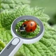 Увеличительная линза с подсветкой Loupe перезаряжаемая лупа, 19.2х9.2 см, белый с серым (102661048) - изображение 4
