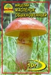 Мицелий грибов Насіння країни Масленок 10 г - изображение 1