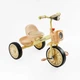 Детский Велосипед-велобег 2 в 1 Best Trike BS-33260 - изображение 1