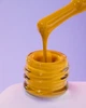 Гель лак DNKa Gel Polish №066 12 мл - зображення 3