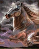 Картина за номерами Вільний кінь 40х50 см Rainbow Art GX36495 - зображення 1