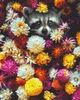 Картина по номерам Енотик в цветах 40х50 см Rainbow Art GX34614 - изображение 1