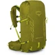 Туристический рюкзак Osprey Talon Velocity 30 Matcha Green/Lemongrass L/XL (009.3544) - изображение 1