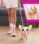 Інтерактивна іграшка FURREAL серії "Poop-A-Lots" – КОРГІ - зображення 4