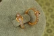 Серьги кольца Хuping Jewelry дорожка с сердцем 1,5 см золотистые - изображение 2