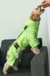 Зимний комбинезон с поясом для собак Dogs Bomba зеленый, размер 9 - изображение 11