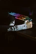 Игровой рукав 2.0 с обрезанной ладонью Paints Spray Selerity pm01ps Біло-чорний M (96081) - изображение 1