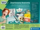 Научный и веселый набор Безумная анатомия - Clementoni 50697 - изображение 5
