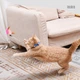 Ошейник игрушка для кота с пером цвет: голубой - изображение 5