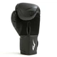 Боксерские перчатки Everlast SPARK TRAINING GLOVES черный Уни 16 унций - изображение 3