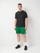 Спортивные шорты мужские Joma Nobel 100053.450 L Зеленые (9995138944085) - изображение 3