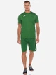 Спортивные шорты мужские Joma Nobel 100053.450 S Зеленые (9995138944061) - изображение 6
