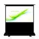 Портативный переносной напольный проекционный экран 4:3 203х152 см 100'' CYNTHIA SCREEN CPP10043 - изображение 1