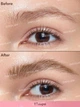 Маркер-помадка для бровей Sheglam Brow-Fection Angled Brush & Dip-Taupe 1.2 мл - изображение 2