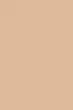 Фон бумажный Savage Widetone Beige рулон 2.18 x 11 м (25-86) - изображение 2