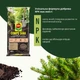 Торфосмесь COMPO SANA для всех видов хвойных растений 40 л (1621/4008398716219) - изображение 3