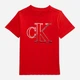 Детский летний комплект (футболка + шорты) для мальчика Calvin Klein 564686627 80 см Разноцветный (1159828988) - изображение 3
