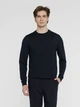 Джемпер мужской Arber Crew-Neck Ff Avt-87 M10.25.09.331 L Синий (ARB9100268990004) - изображение 1