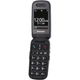 Мобильный телефон Panasonic KX-TU446 [117396] - изображение 3
