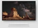 Саундбар Sonos Ray White (RAYG1EU1) - зображення 6