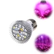 Фітолампа для рослин LED (8 Вт, E27) | Лампа повного спектра для розсади та кімнатних квітів - зображення 1
