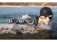 Наушники SHOKZ OpenSwim Pro + MP3 Grey - изображение 2