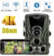 Фотоловушка Suntek Wi-Fi 801 PRO версия 36МП 4К до 256Gb с Bluetooth и удаленным управлением через приложение на смартфон - изображение 2