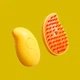 Паровая массажная щетка Pet Brush для вычесывания шерсти собак и кошек USB - изображение 4