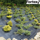Агротканина Fortex AgroTex, чорний, 1,05 х 5 м, 5,25 м2, 100 г/м2 - зображення 9