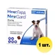 NexGard таблетка від бліх та кліщів 4-10кг (М) (1 таблетка) (107161-1) - зображення 1