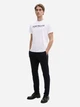 Футболка хлопковая мужская Tom Tailor 1045940-20000 2XL Белая (4068127886163) - изображение 3