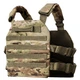 Плитоноска (Plate Carrier) Multicam - изображение 2