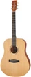 Акустическая гитара Tanglewood TR5 - изображение 1
