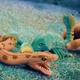 Стретч-игрушка в виде животного Legend of animals – Морские доисторические хищники 128/CN22 - изображение 4