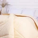 Ковдра антиалергенна MirSon EcoSilk Carmela 014 зима 110x140 см (2200000004765) - зображення 3