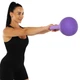 Гиря мягкая 8 кг Поливинилхлорид наполнитель песок Zelart SOFT KETTLEBELL цвет фиолетовый FI-0122-8 - изображение 16